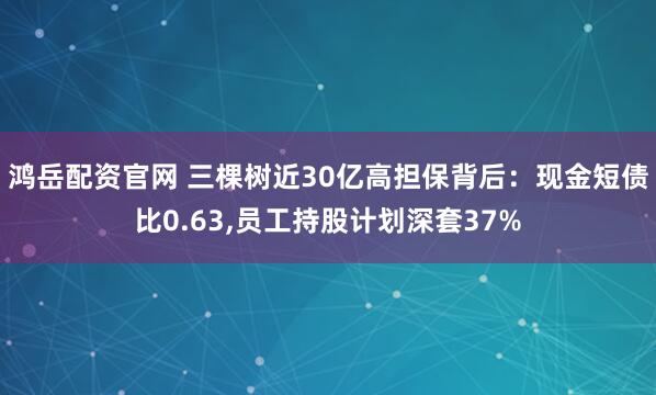 鸿岳配资官网 三棵树近30亿高担保背后：现金短债比0.63,员工持股计划深套37%