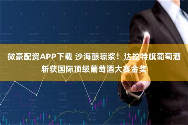 微豪配资APP下载 沙海酿琼浆！达拉特旗葡萄酒斩获国际顶级葡萄酒大赛金奖