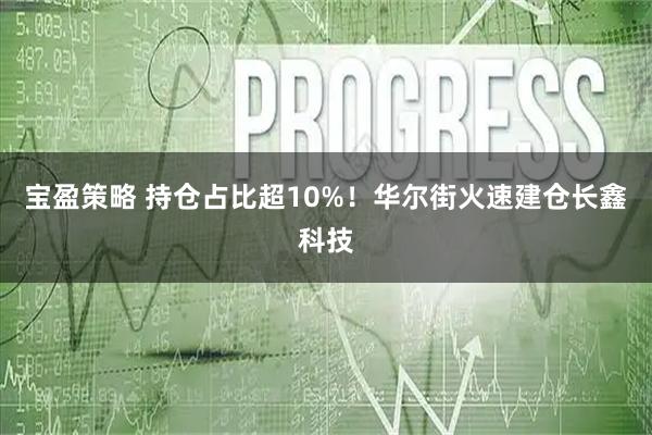 宝盈策略 持仓占比超10%！华尔街火速建仓长鑫科技